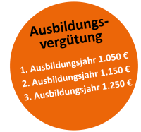 Attraktive Ausbildungsvergütung